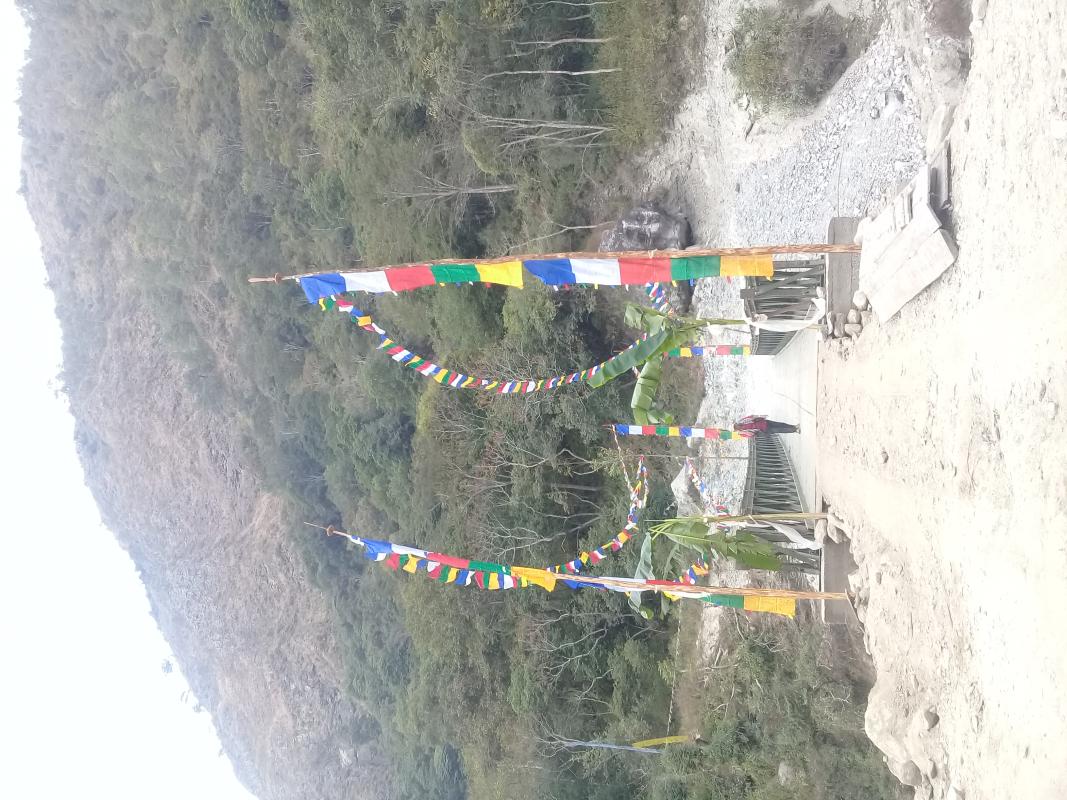 Flags for peace