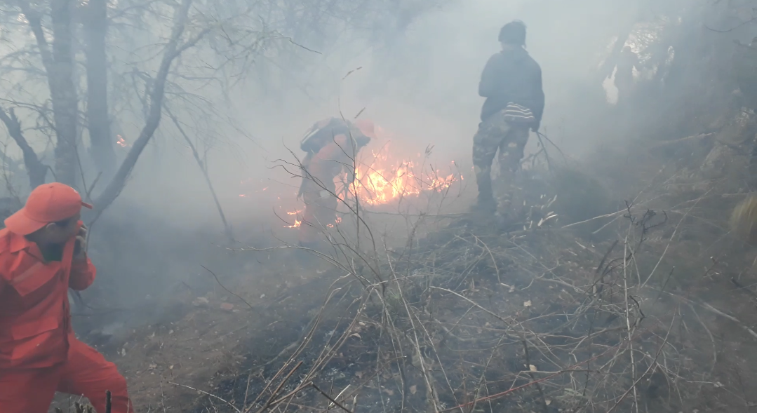 Fire fighter
