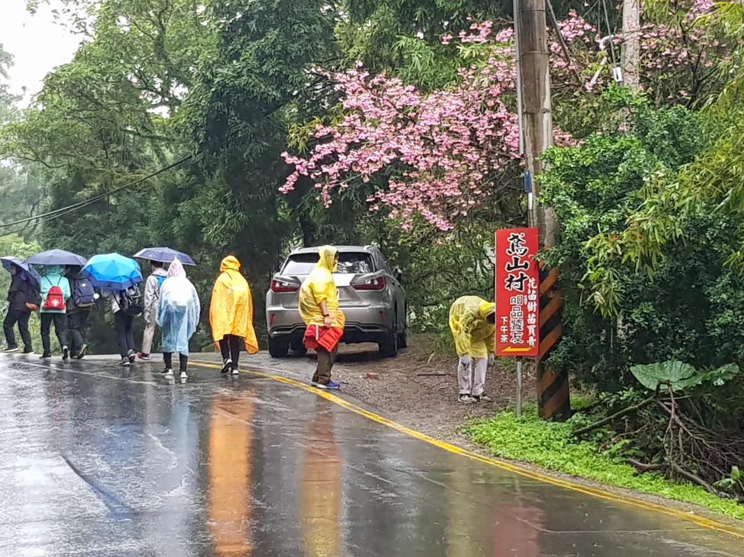 三峽鳶山淨山計畫──淨山(行義)