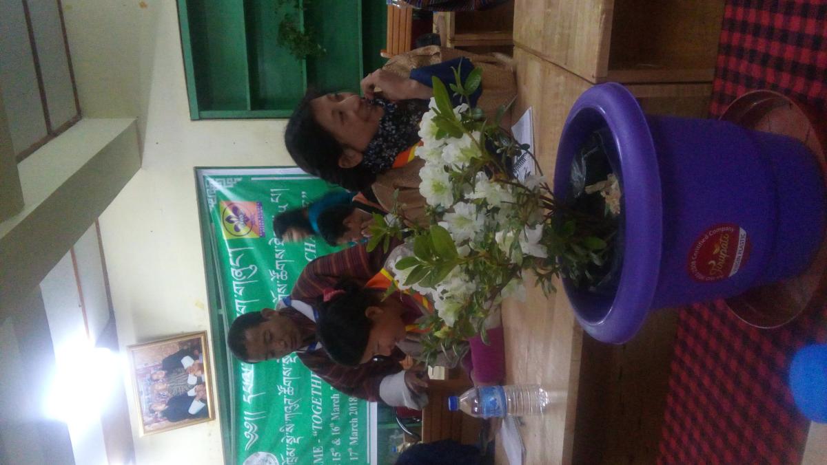 Orientation