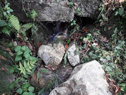 cleaning water source