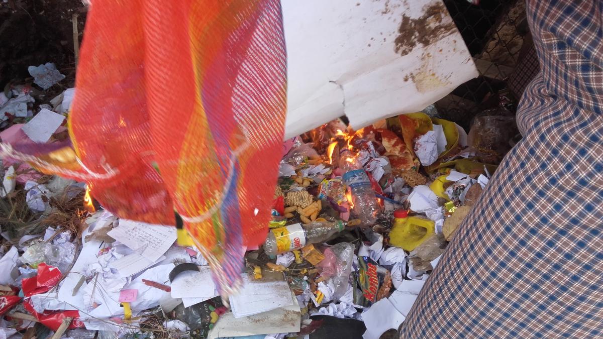 No junk food in the school