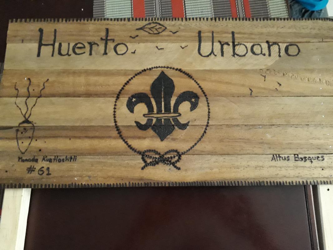 Trabajo e Instalación del huerto urbano en mi comunidad.