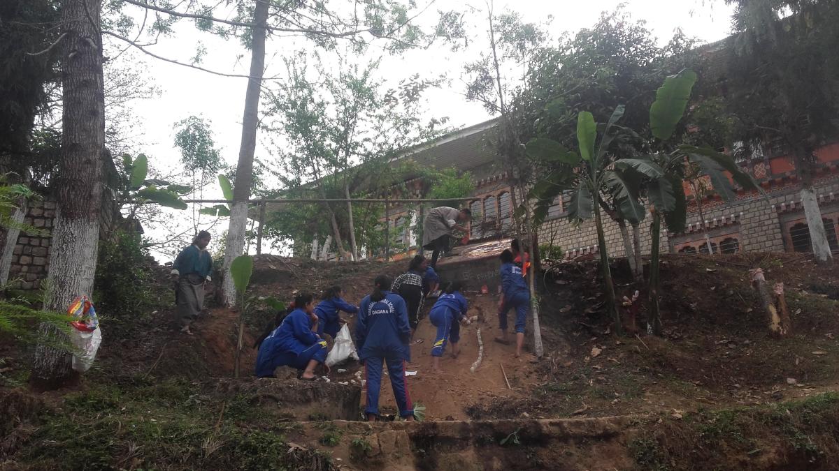 Scout Den for beautification of the places