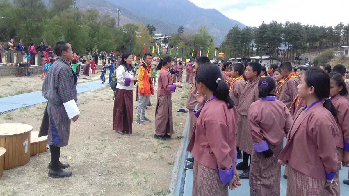 Mass cleaning program by scouts 
