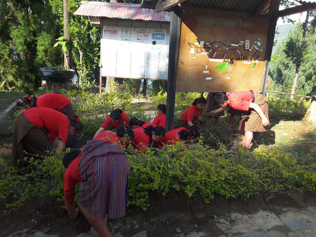 Gardening 