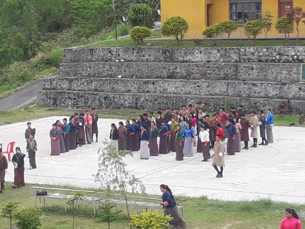 messenger of peace program