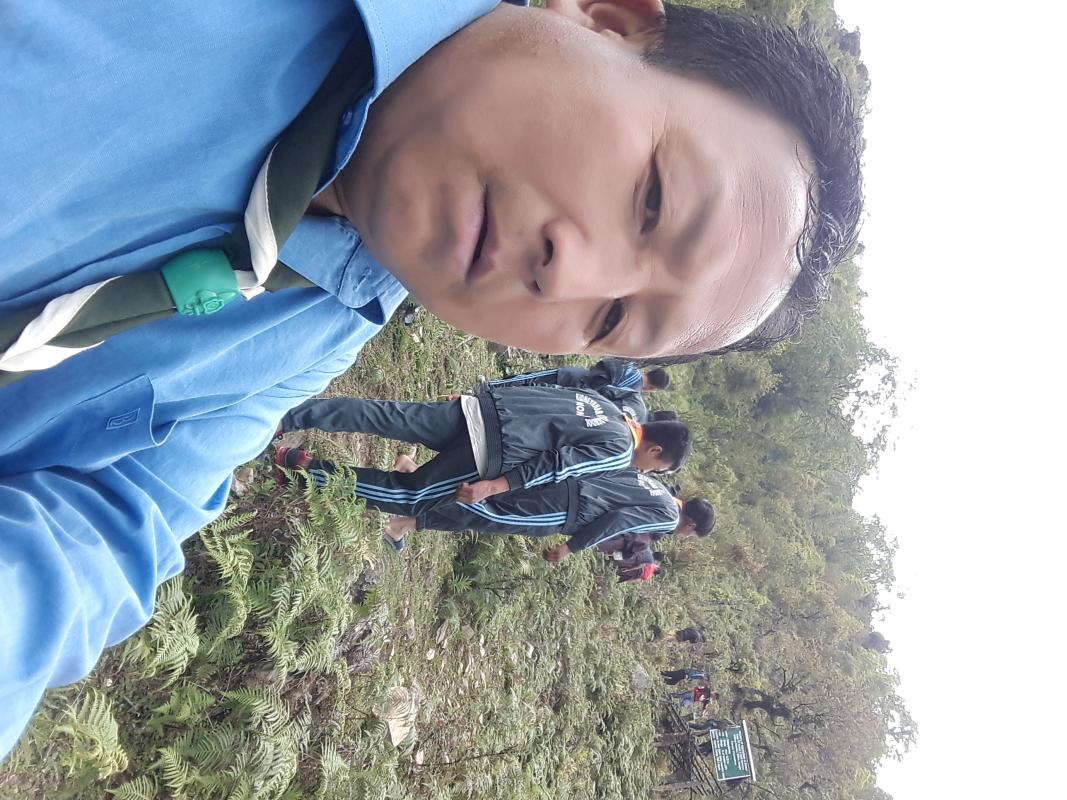 ཐབ་ཤིང་བསྡུ་ལེན།