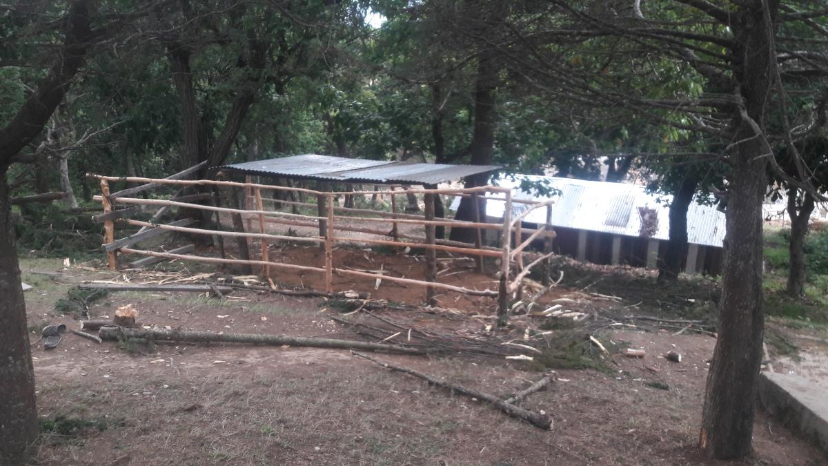 ཕྱགས་སྙིགས།