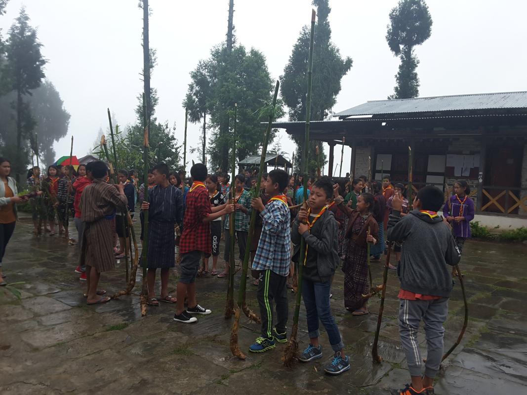 Bamboo plantation along the landslide road side for protection and soil fertility