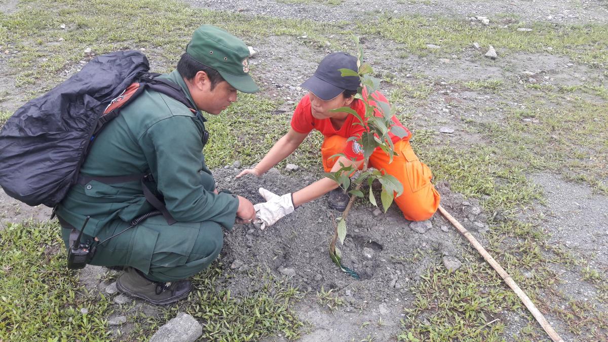 Plantation along the Highway
