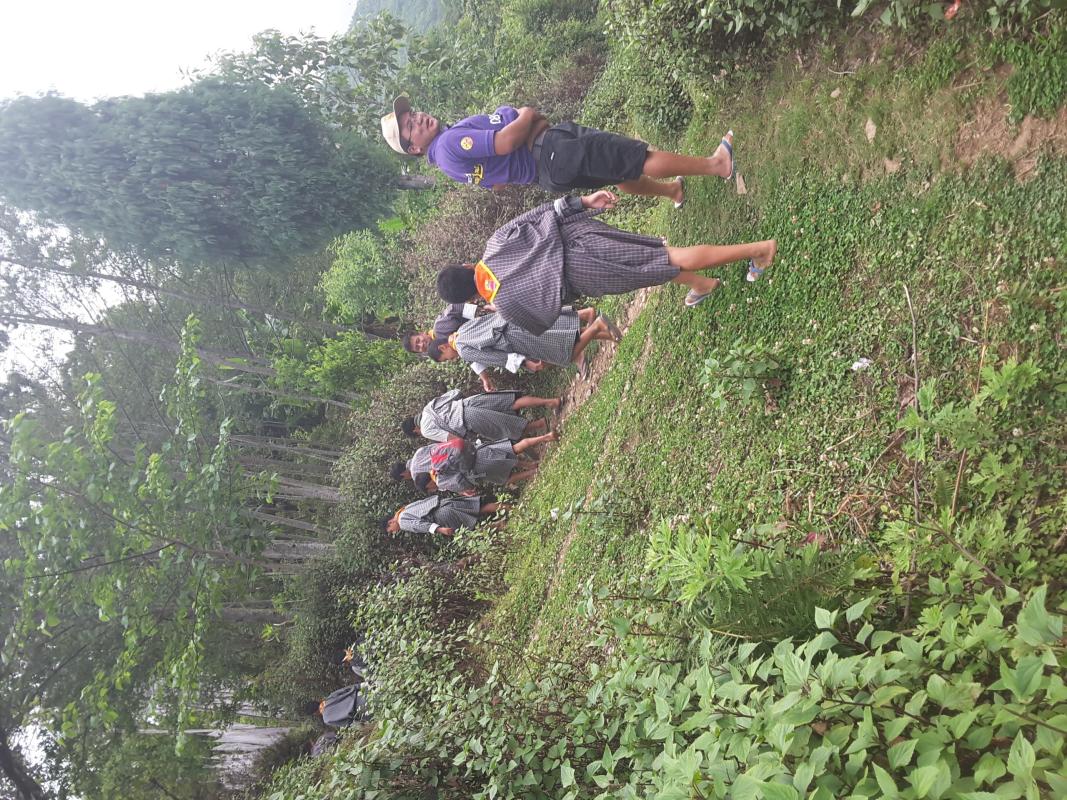 Bamboo uproot for june 2nd planting