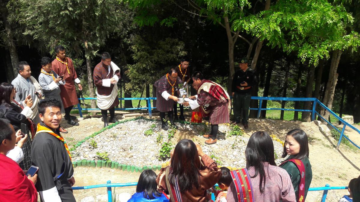 social forestry day celebration 2019