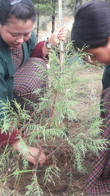 Social Forestry Day celebration 2018