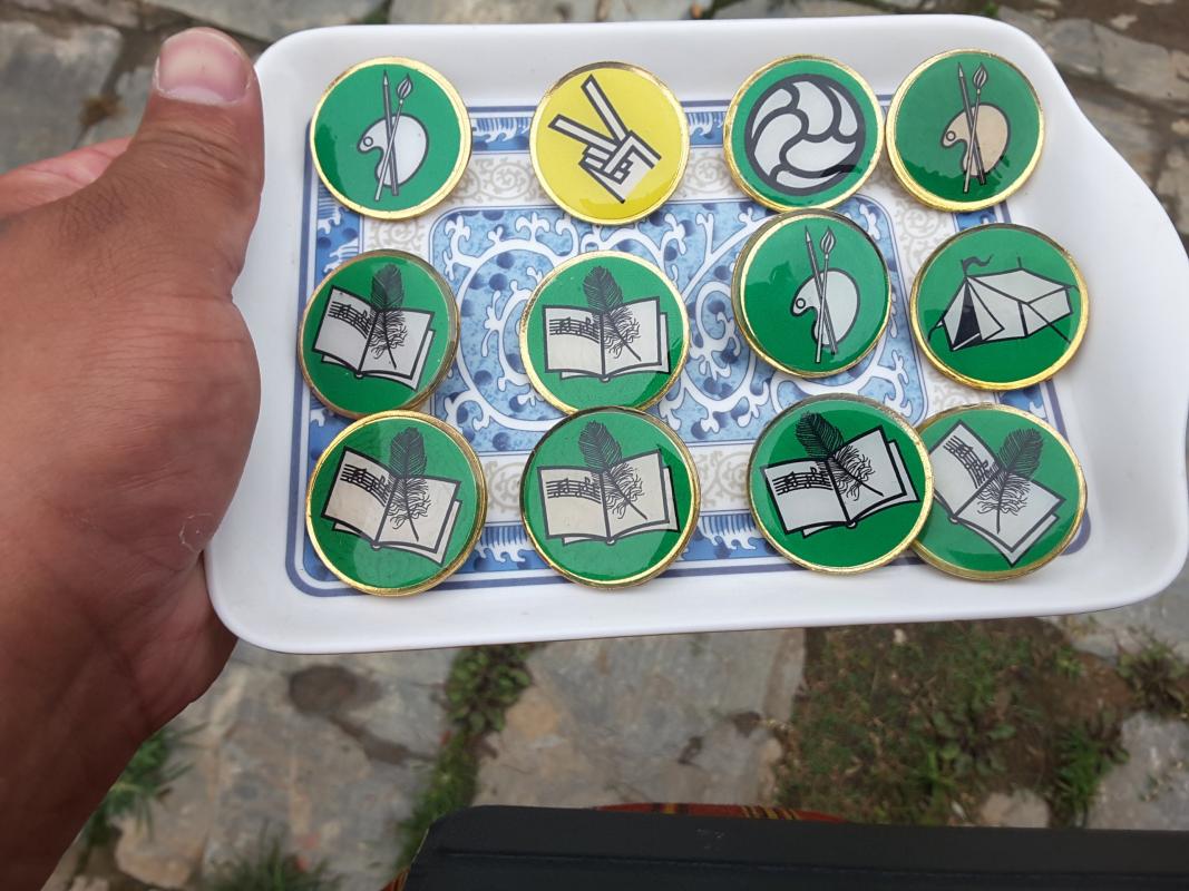 Award of proficiency badges