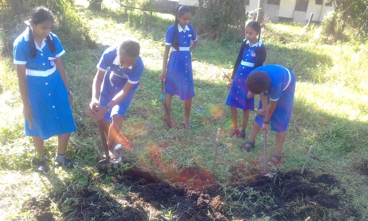 GARDENING PEACE PROJECT - RELEASE STRESS, DIG UP A GARDEN 