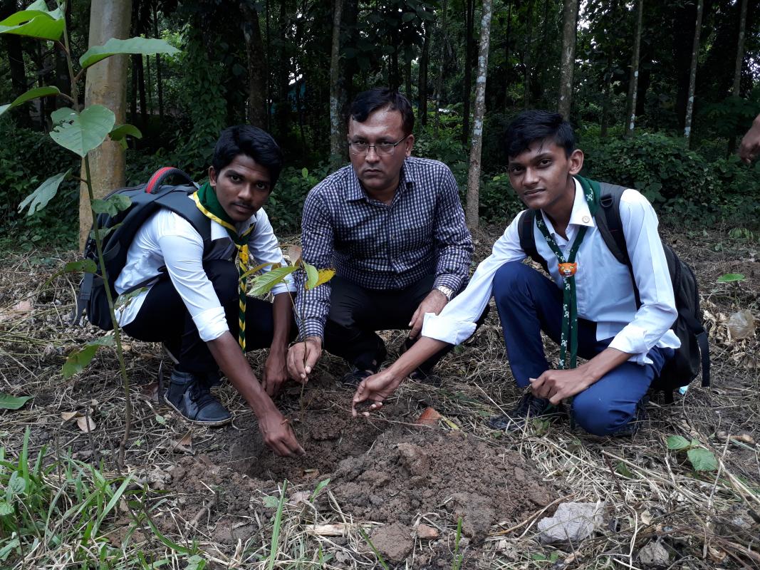 Tree Plantation 