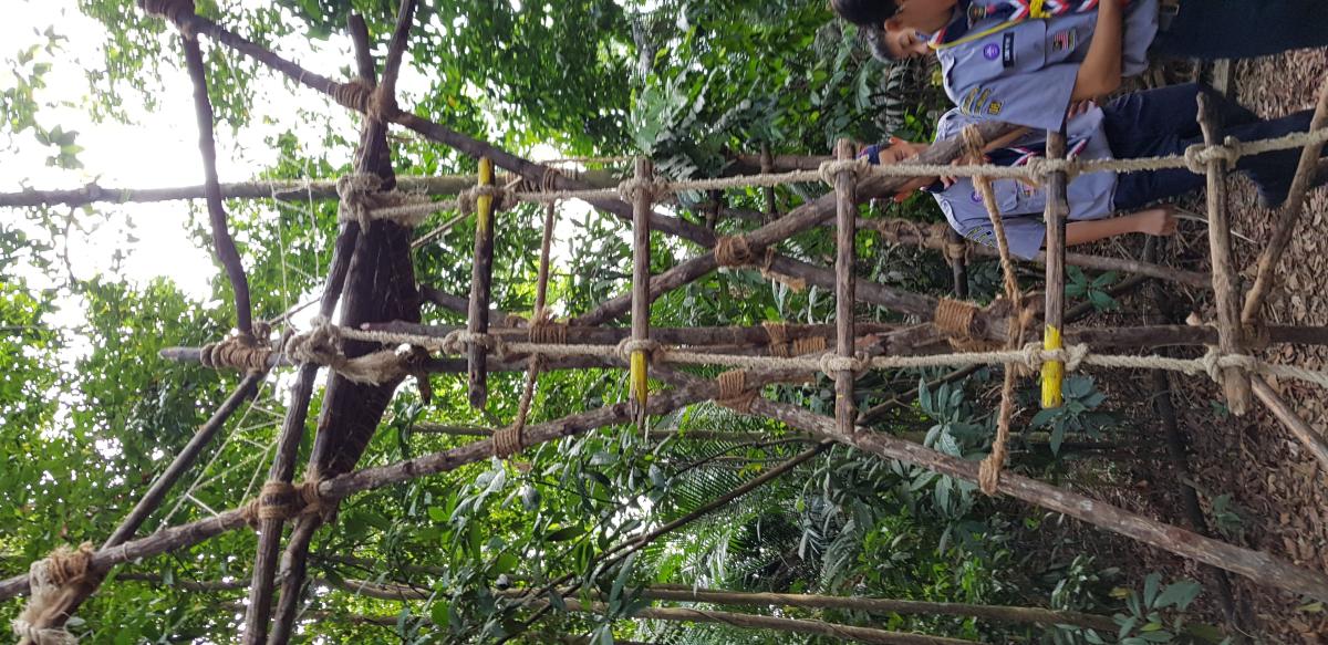 Wonderful Scout Pioneering Project Achievement 2018