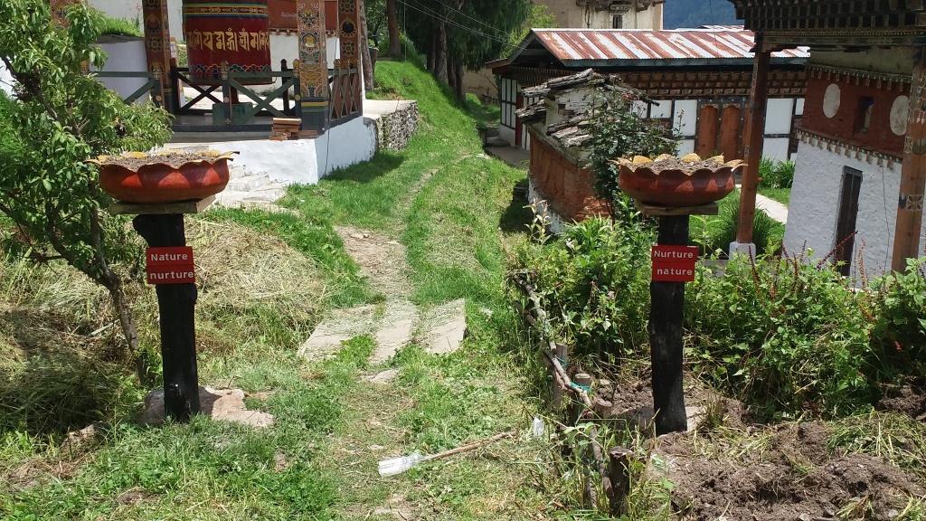 Flower Pot from Tyre.