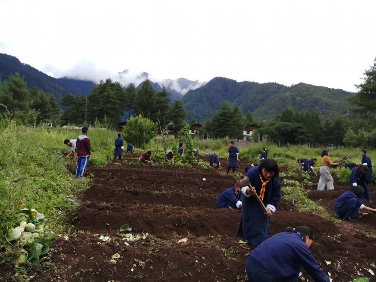 school agriculture program