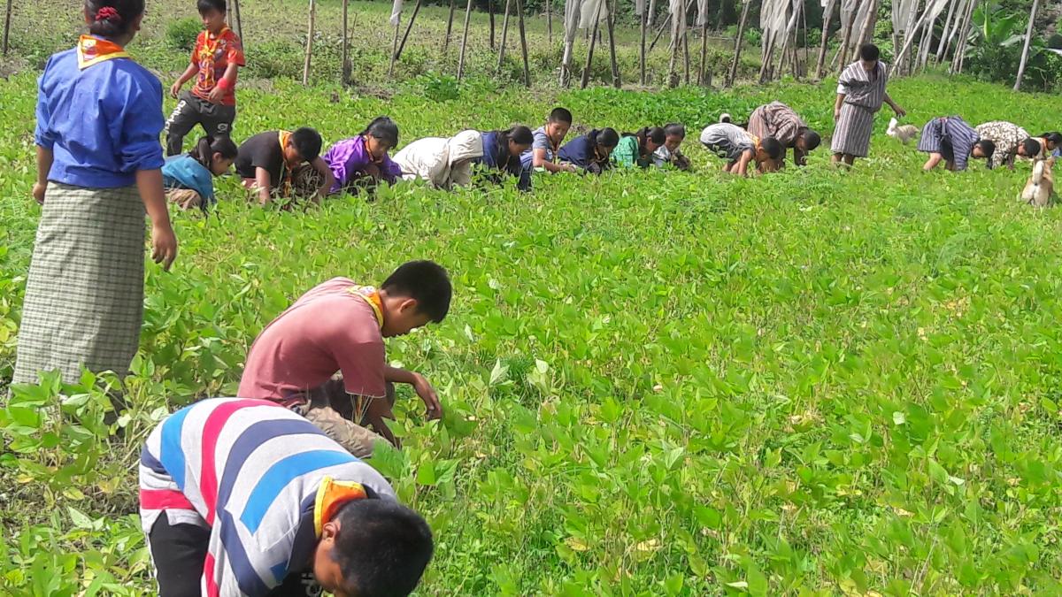 Excursion work by scout members of Dechheling L.S.S. P/gatshel