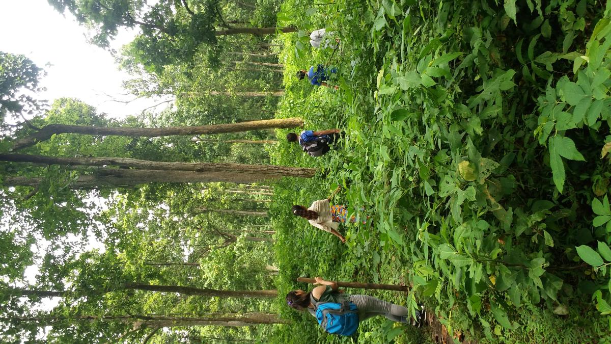 Rover rangers hiking