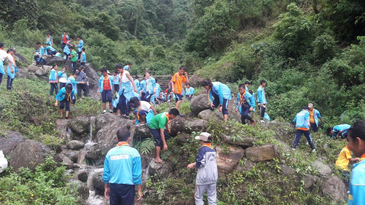 cleaning campgin