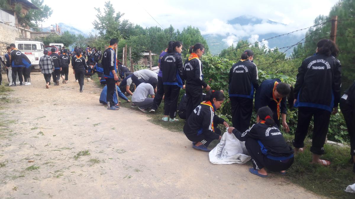 cleaning campaign(155478)