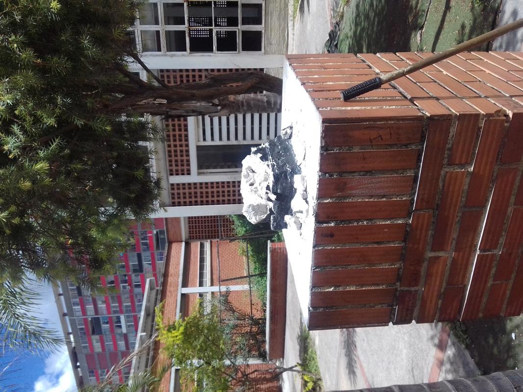 Servicio al Busto de Simon Bolivar 