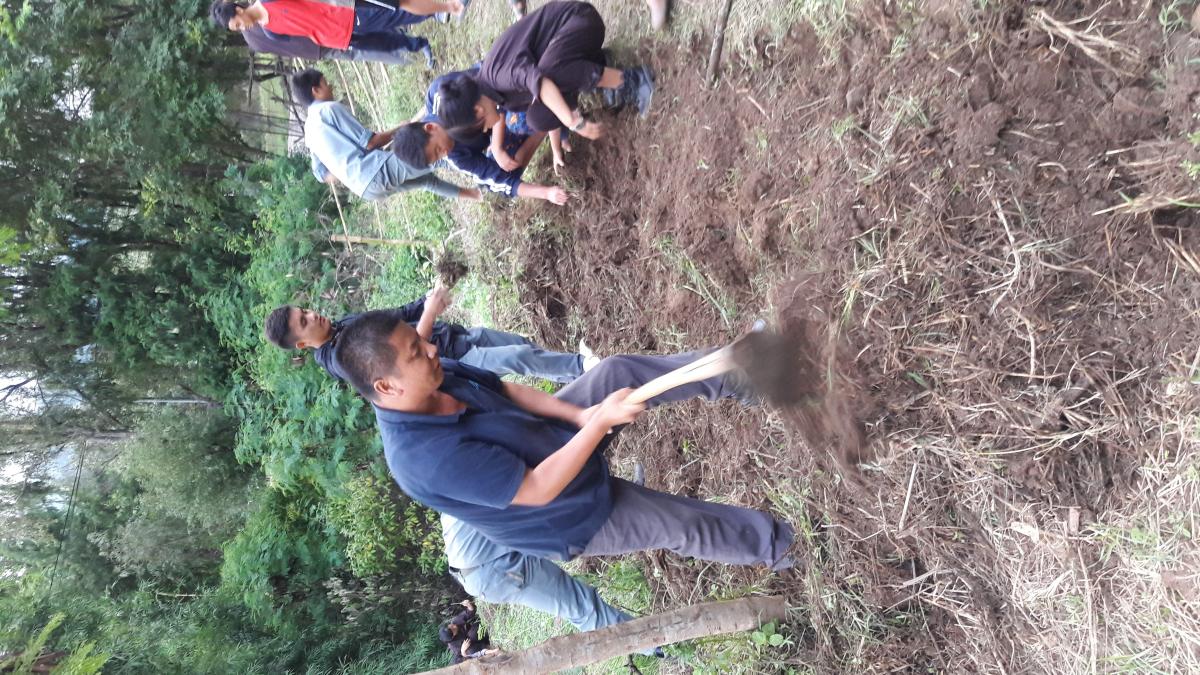 Rover Scout Agriculture garden.