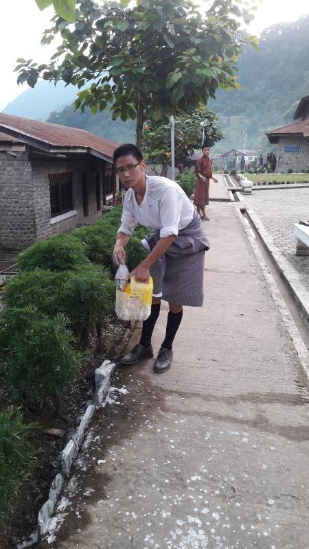 Maintenance Of The School Area      	