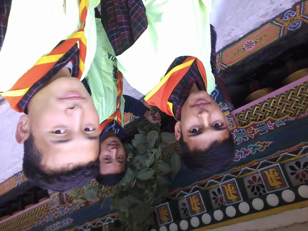 Celebrating international peace day