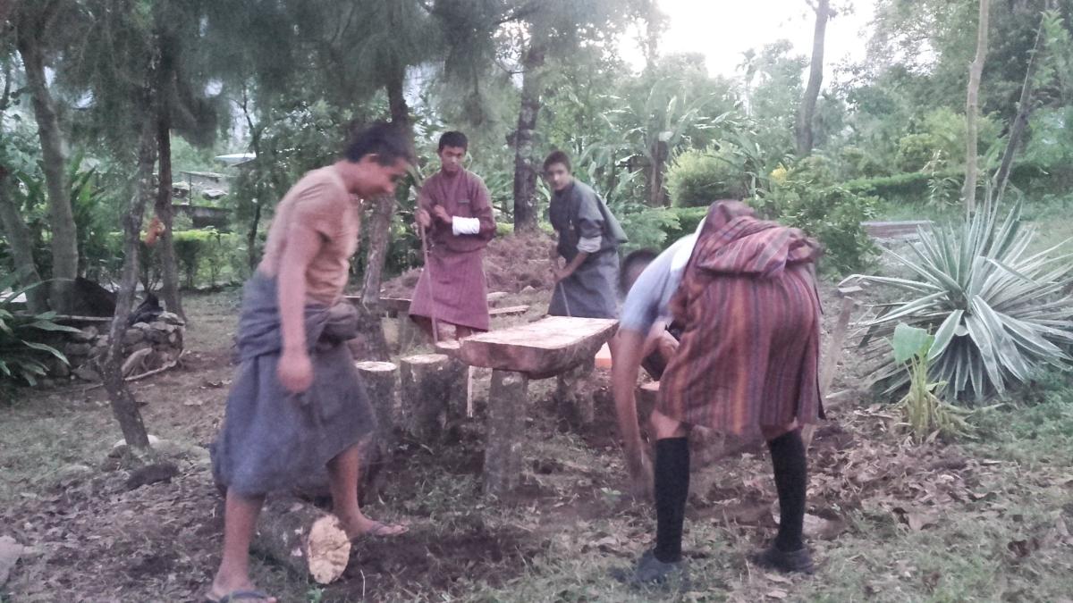 Developing mini park