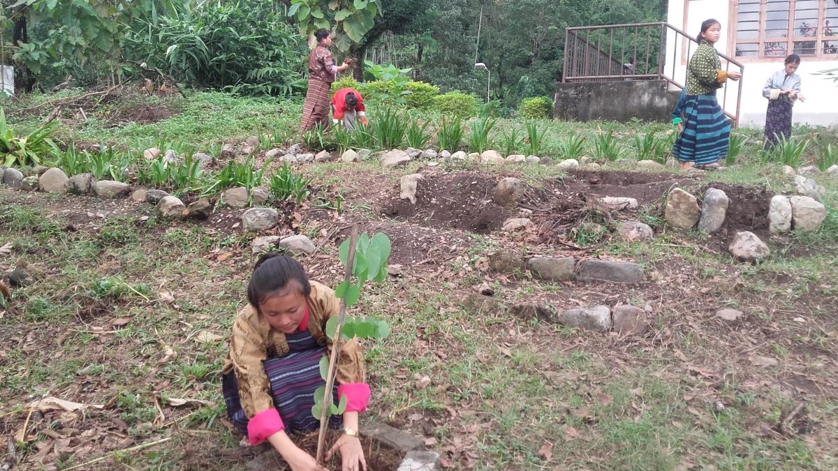 Plant today for future peace