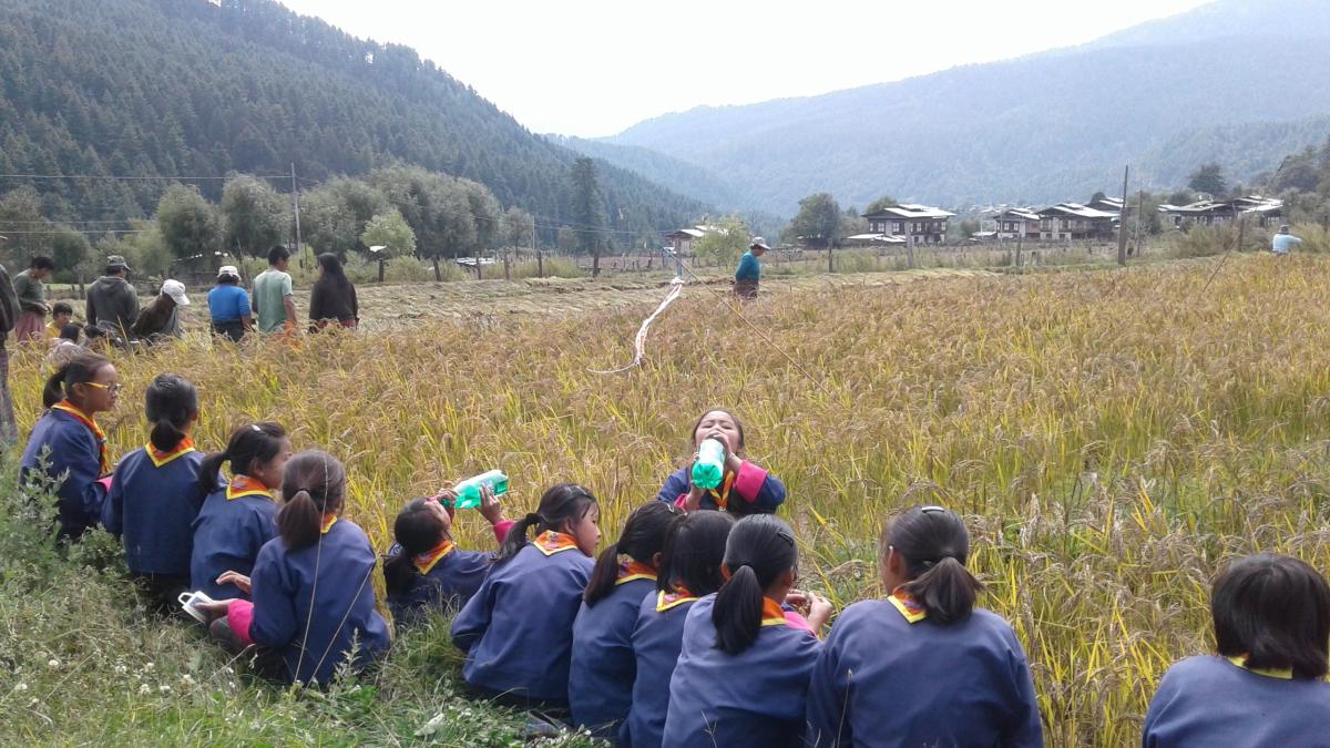 little helping hands of KPS in Paddy field