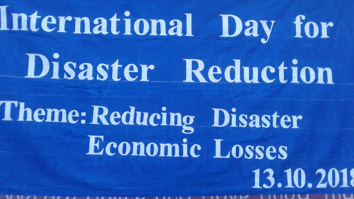 international day against disaster reduction