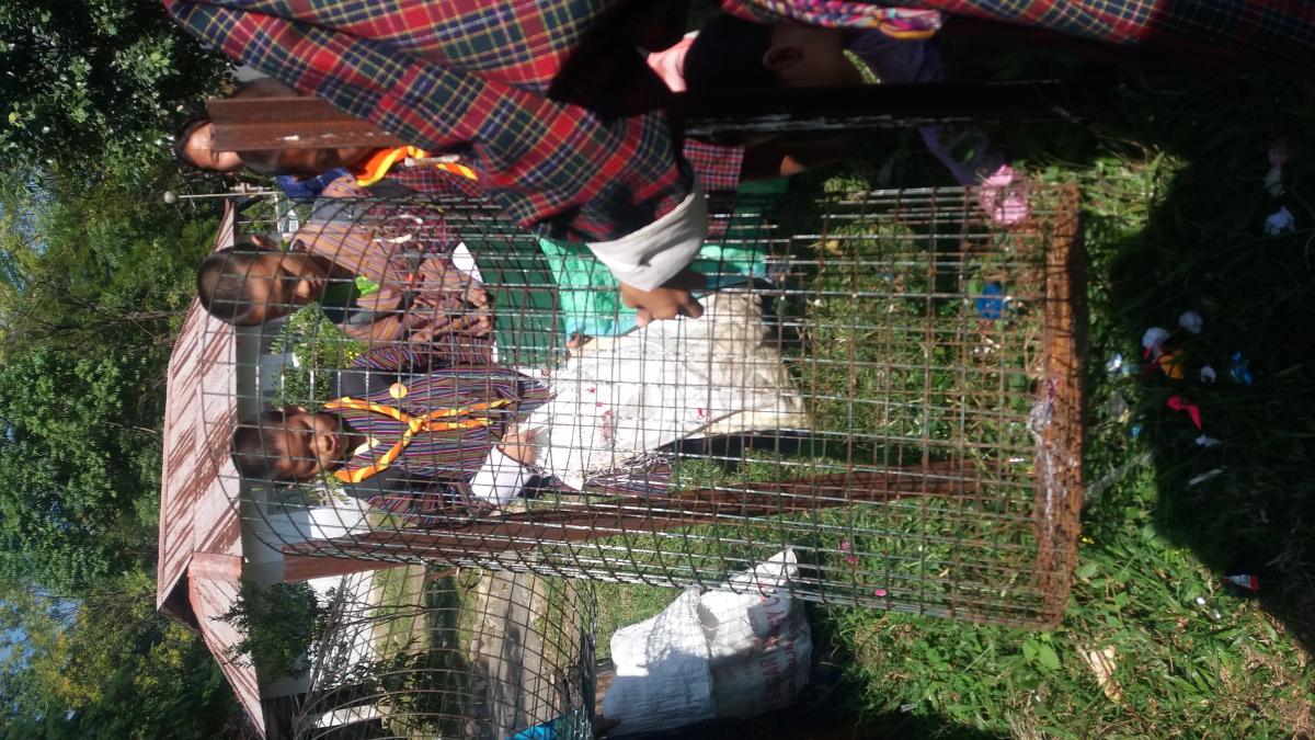 Mass Cleaning Campaign