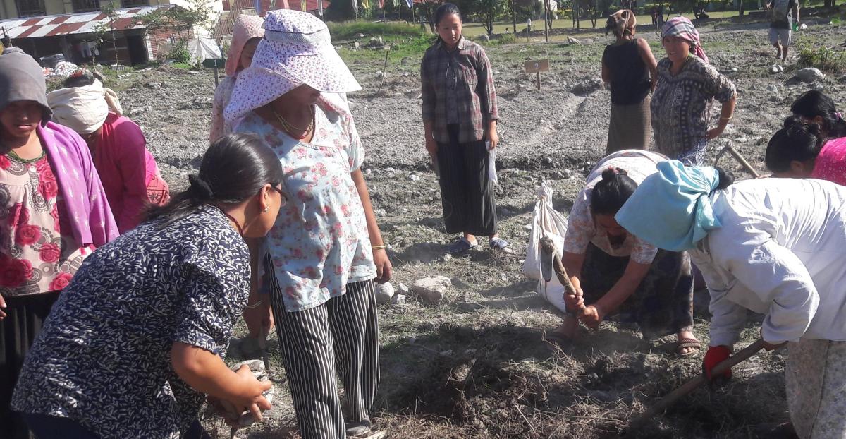 village garden in my school