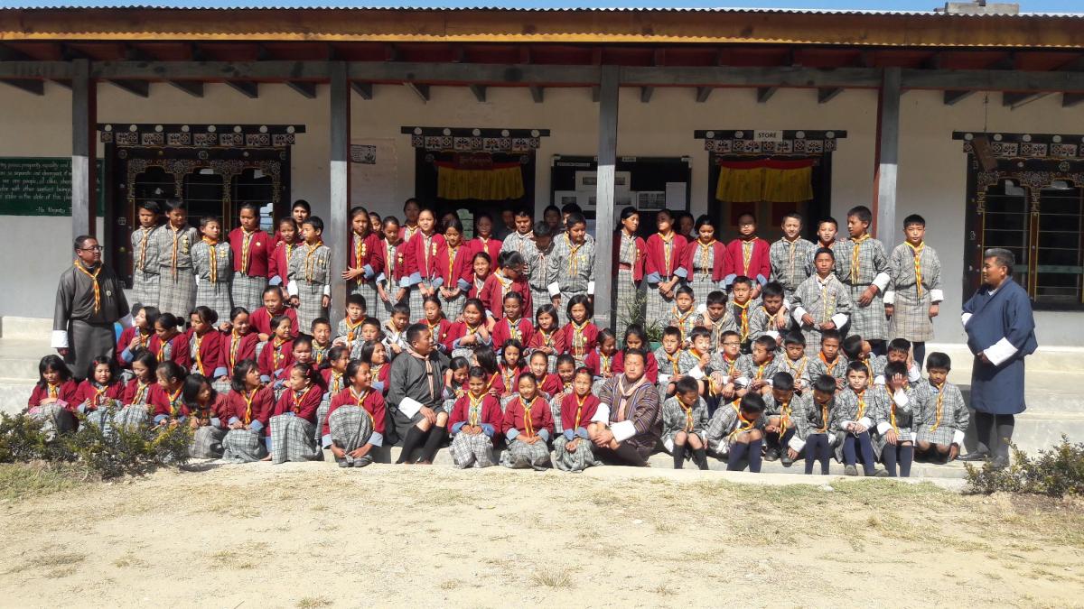 Monitoring scouting program