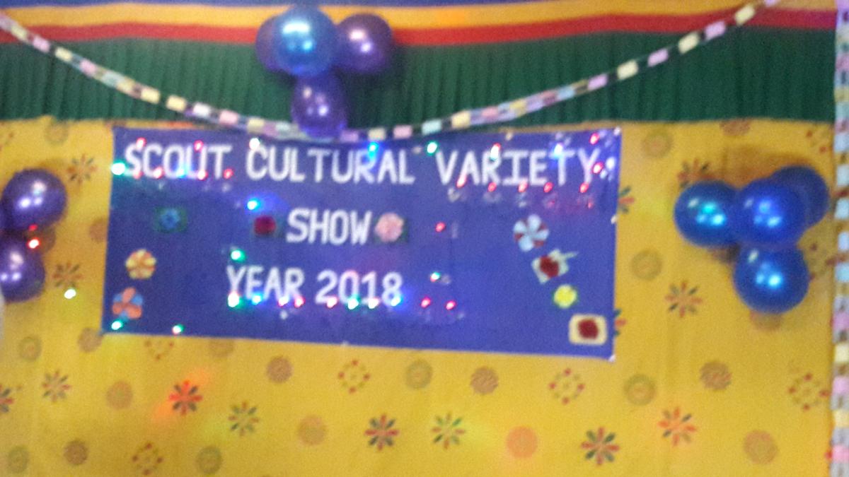 Cultural variety show