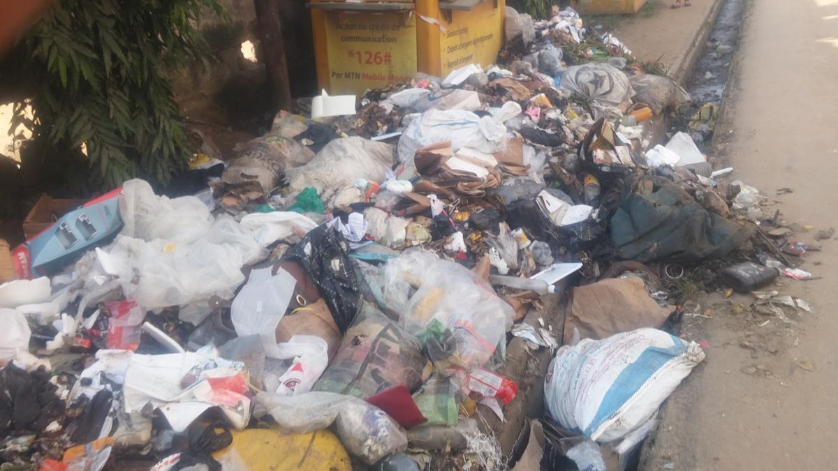 les scoutes du groupe saint Georges luttes pour le recyclage des dechets plastiques