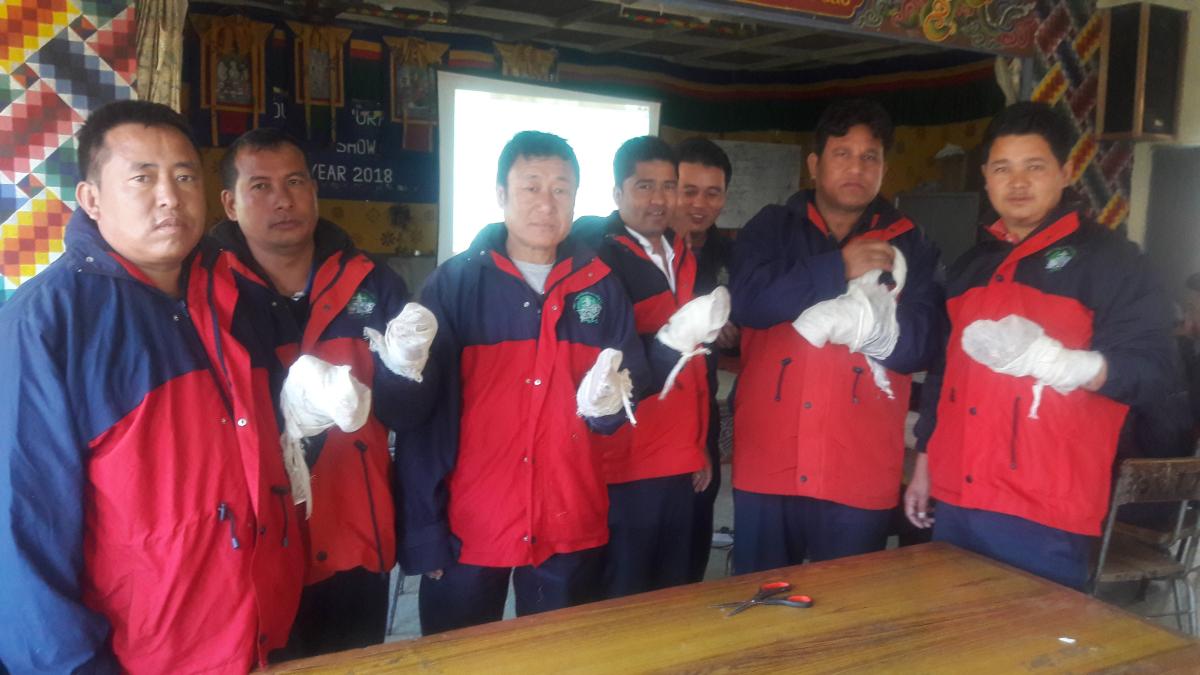 First Aid program