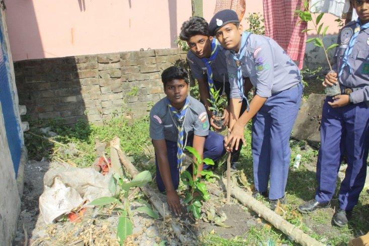 Tree Plantation