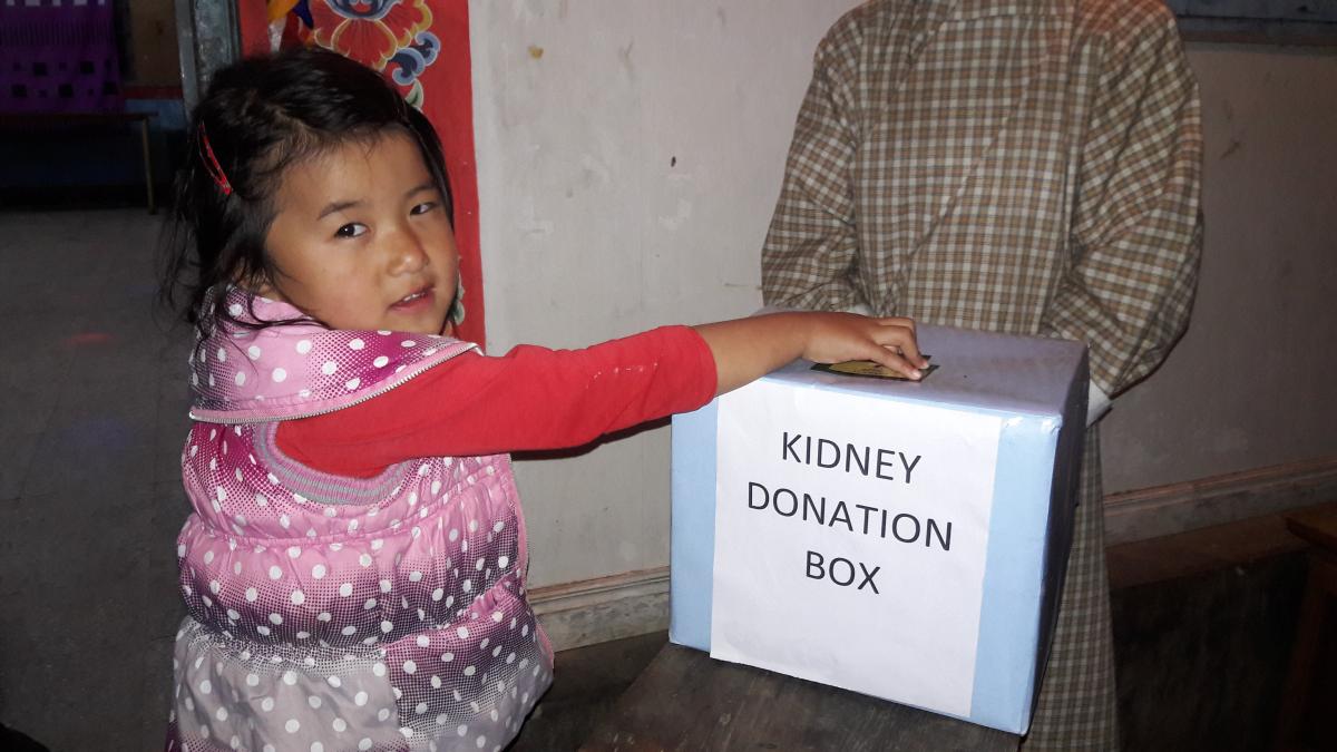 Kidney donation cultural program