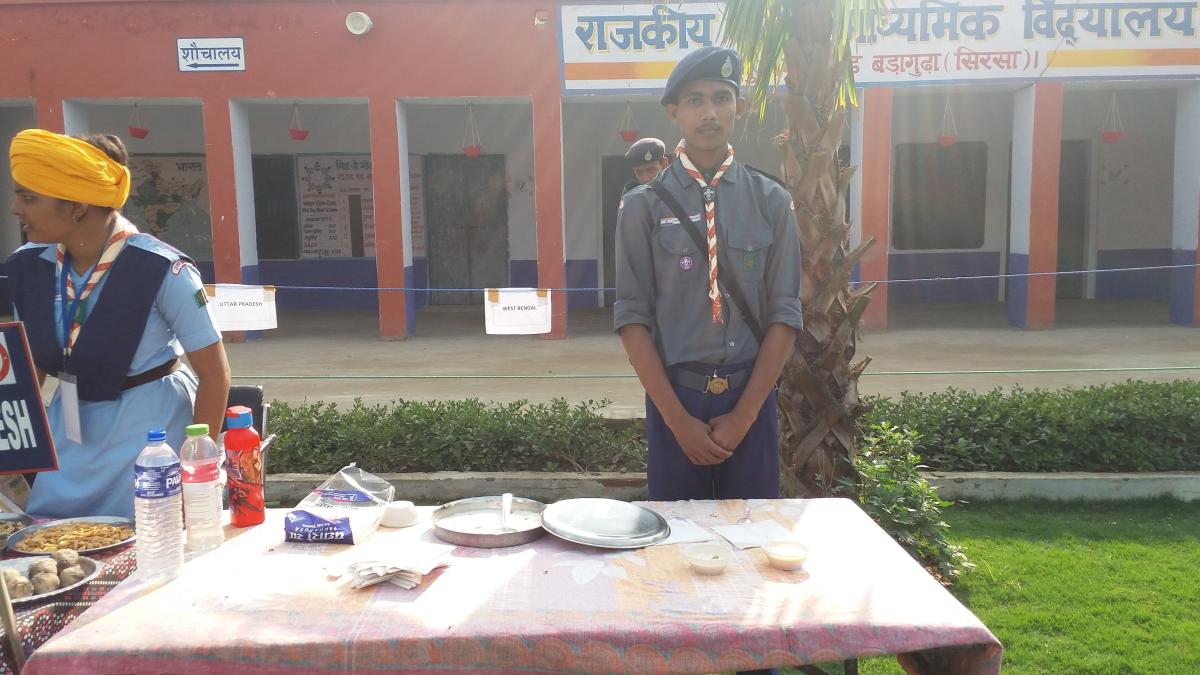 Food festival 