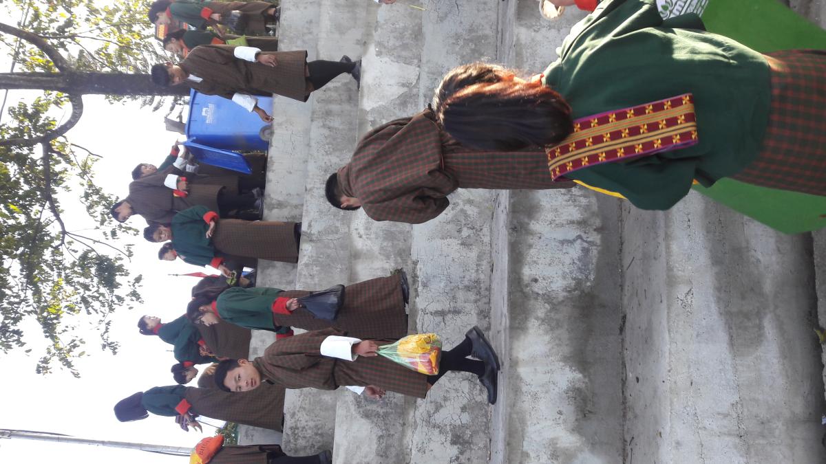 Cleaning Campaign