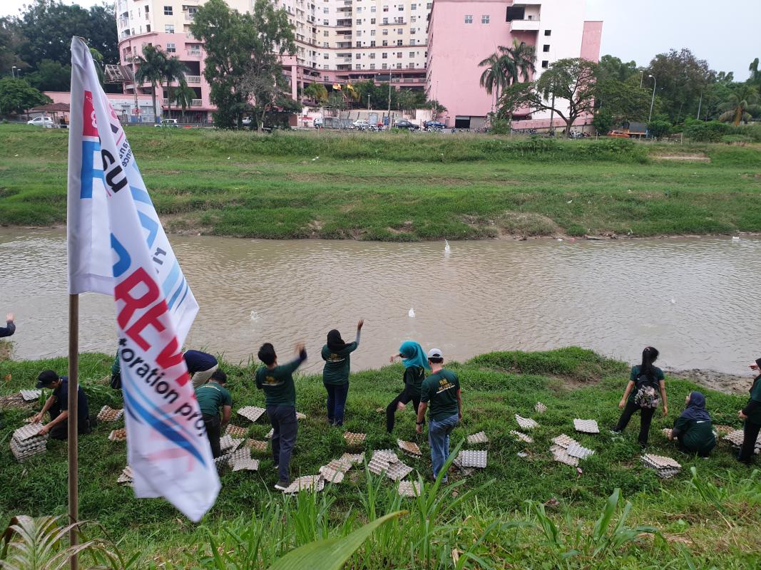 River Revival : River Restoration Project