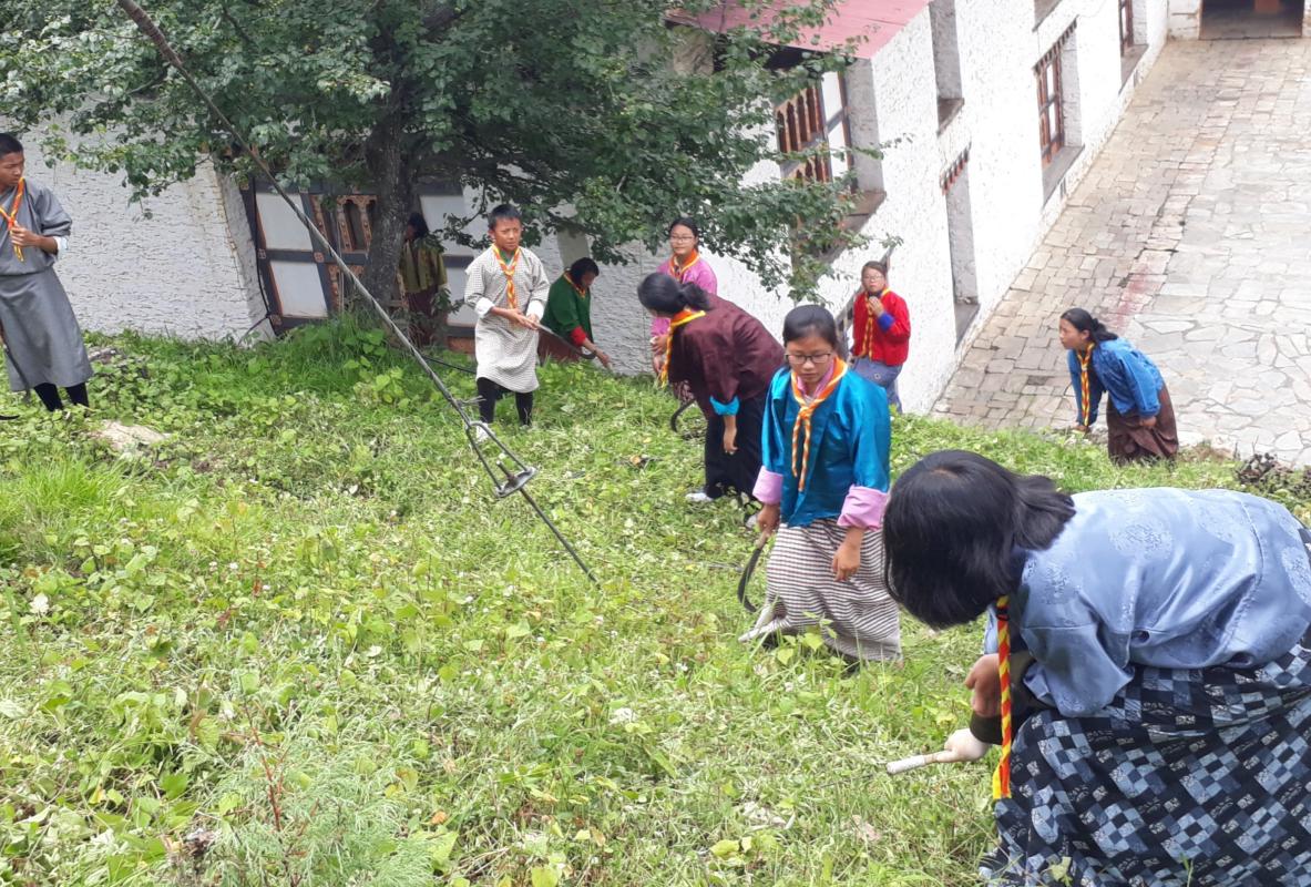 Peace is engaging oneself in meaningful work  