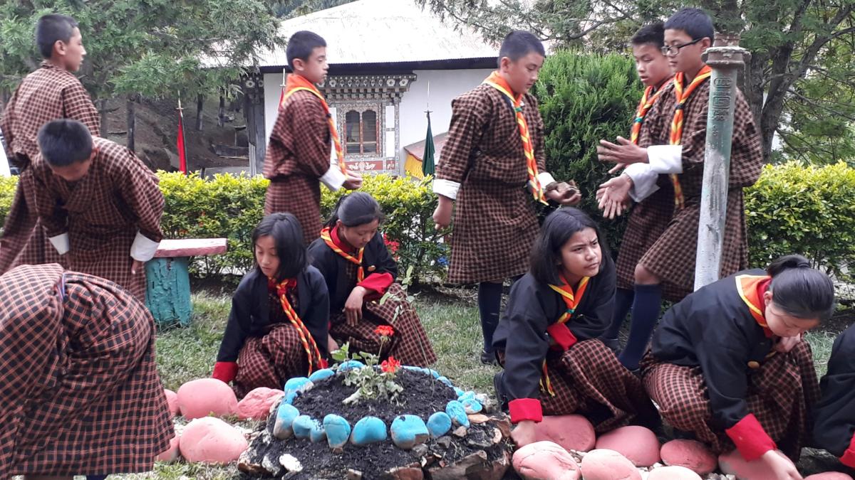 Development of scouts park.