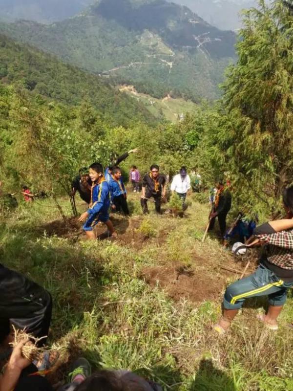 Peace is protecting nature